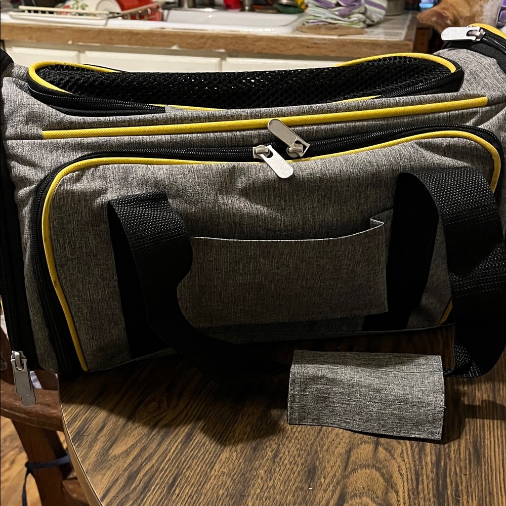 Gray and Yellow pet carrier
